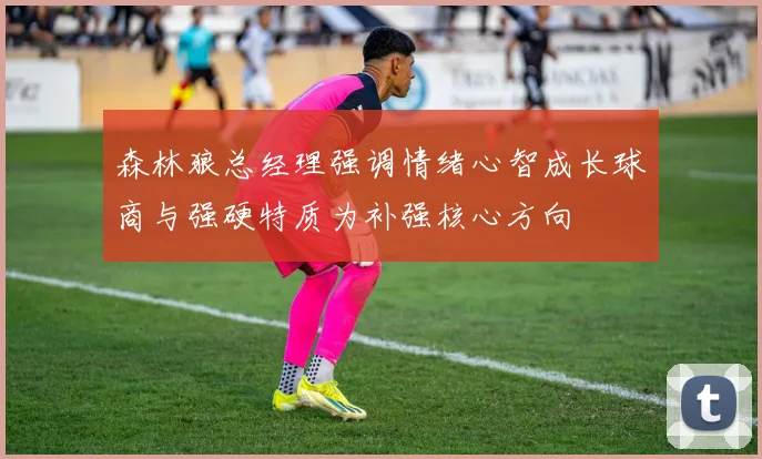 森林狼总经理强调情绪心智成长球商与强硬特质为补强核心方向